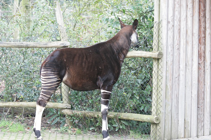 Fotoclubje Blijdorp 2008-13.jpg